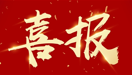 喜訊┃集團(tuán)黨委書(shū)記、董事長(zhǎng)向誠(chéng)榮獲市委表彰